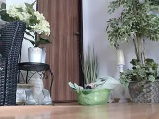 Camsoda Adult Webcams of squirtmania