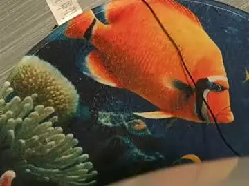 Chaturbate Sex Cam of alexmannnn3