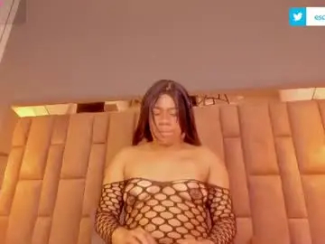Chaturbate Free Porn Cam of miss_ambrer