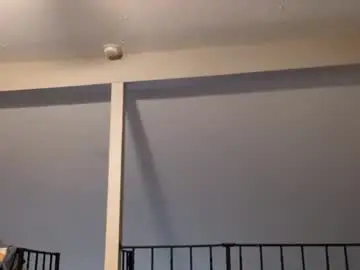 Chaturbate Live Sex of meanfinger
