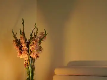Chaturbate Adult Webcam of ms_seductive