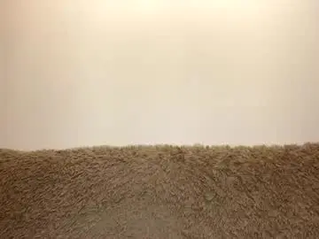 Chaturbate Nude Webcam of beautifulnik