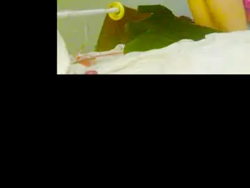 Chaturbate Sex Chat of playwitme94