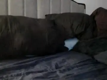 Chaturbate Free Porn Cam of lovedaddyman2point0