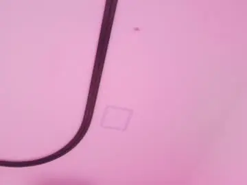 Chaturbate Adult Webcam of malaia_thompson_