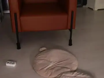 Chaturbate Adult Video Chat of seeunexttime