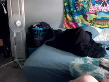 Chaturbate Live Sex of tehkie
