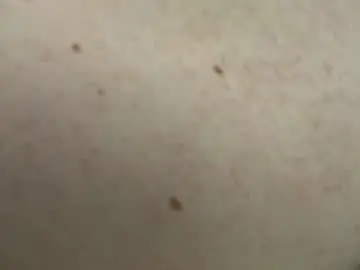 Chaturbate Adult Webcam of dylanvalentine