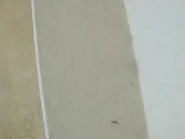 Chaturbate Private Sex Chat of birbikrom104