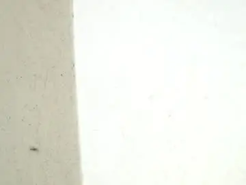 Chaturbate Free Porn Cam of birbikrom104
