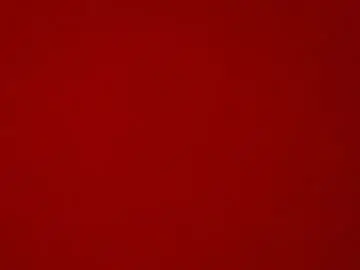 Chaturbate Adult Webcam of tommyx01