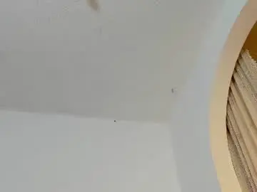 Chaturbate Nude Webcam of marie_pourtoi