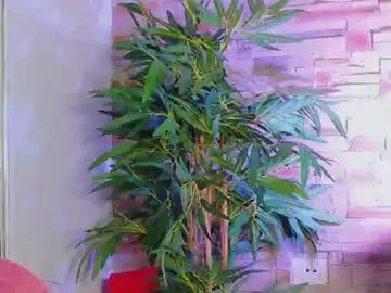 Chaturbate Live Sex of helenceccile