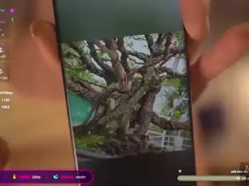 Chaturbate Free Porn Cam of newivy