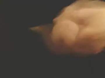 Chaturbate Live Sex of ateuout