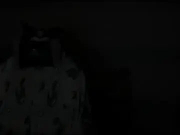 Chaturbate Sex Cam of cutestephuwu