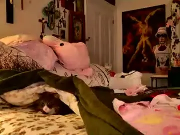 Chaturbate Live Sex of eve003300