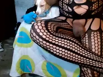 Chaturbate Sex Cam of dream_real