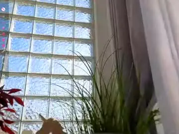 Chaturbate Adult Video Chat of sassyt33n