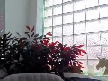 Chaturbate Sex Cam of sassyt33n