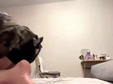 Chaturbate Free Porn Cam of fidelagrantz