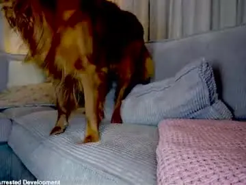 Chaturbate Adult Video Chat of x_lily_x