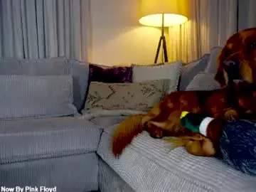 Chaturbate Best live sex cam show of x_lily_x
