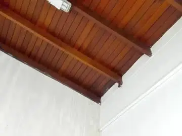 Chaturbate Sex Cam of tommyhot7