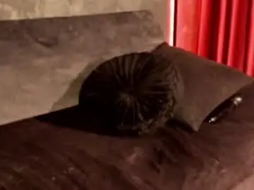 Chaturbate Free Porn Cam of kira_vex