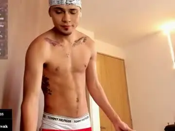 Chaturbate Adult Video Chat of ander_bisex