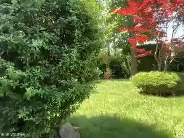 Chaturbate Live Sex of patry333