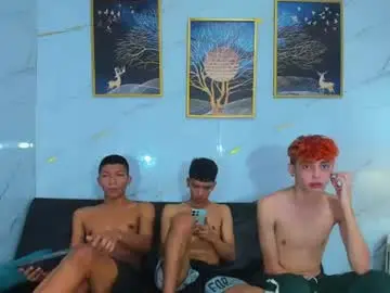 Chaturbate Sex Cam of boys_twink69