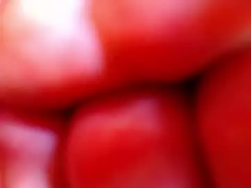 Chaturbate Adult Webcam of kobayaske