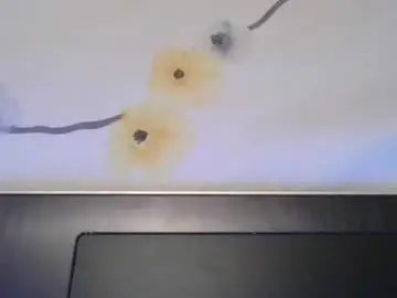 Chaturbate Adult Webcams of sarah_haggai