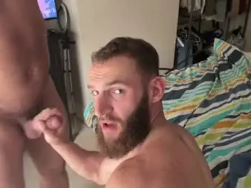 Chaturbate Adult Webcam of ashley_hawk