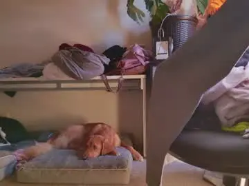 Chaturbate Private Sex Chat of b1gbanana