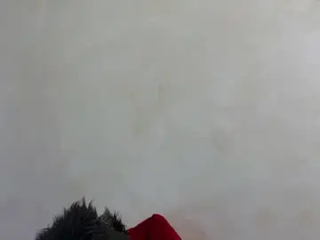Chaturbate Adult Webcams of alissa4_