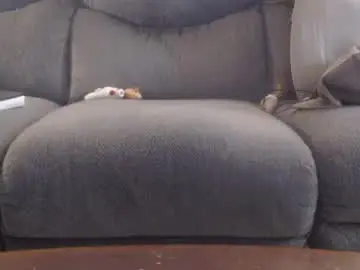 Chaturbate Free Porn Cam of copper_crotch