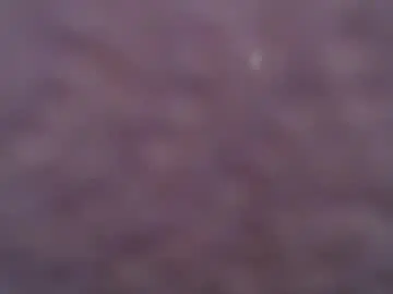 Chaturbate Live Sex Cam of wallacebull
