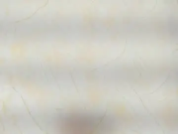 Chaturbate Best live sex cam show of im_felixhunter