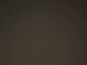 Chaturbate Adult Webcam of elisadikotti