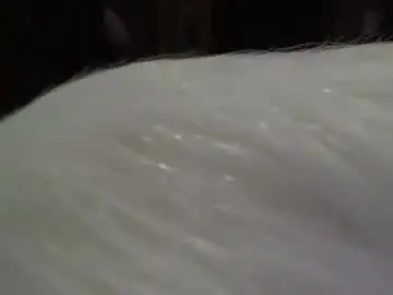 Chaturbate Best live sex cam show of bigboobslyn