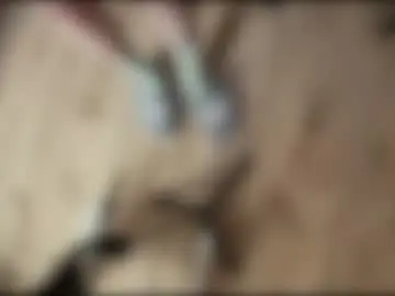 Chaturbate Live Sex Cam of yexes
