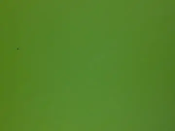 Chaturbate Adult Webcam of bonershow