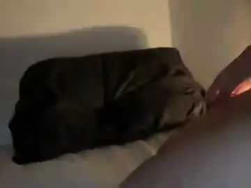 Chaturbate Watch Live Sex Cams of bonnettbonett