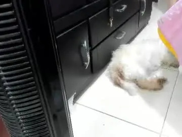 Chaturbate Live Porn of giorgia_xue55