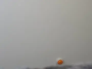 Chaturbate Adult Video Chat of milabunny_
