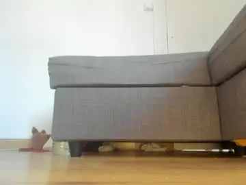 Chaturbate Sex Chat of wet_pants2022
