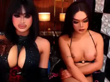 Chaturbate Free Porn Cam of stellaperkins