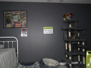Chaturbate Watch Live Sex Cams of sydaffect